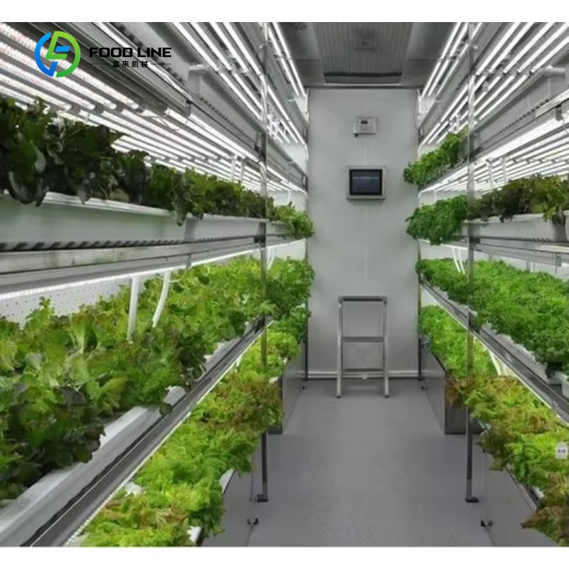 Hydroponic Farming Agriculture - Customized Smart Farm Vertical NFT Hydroponic