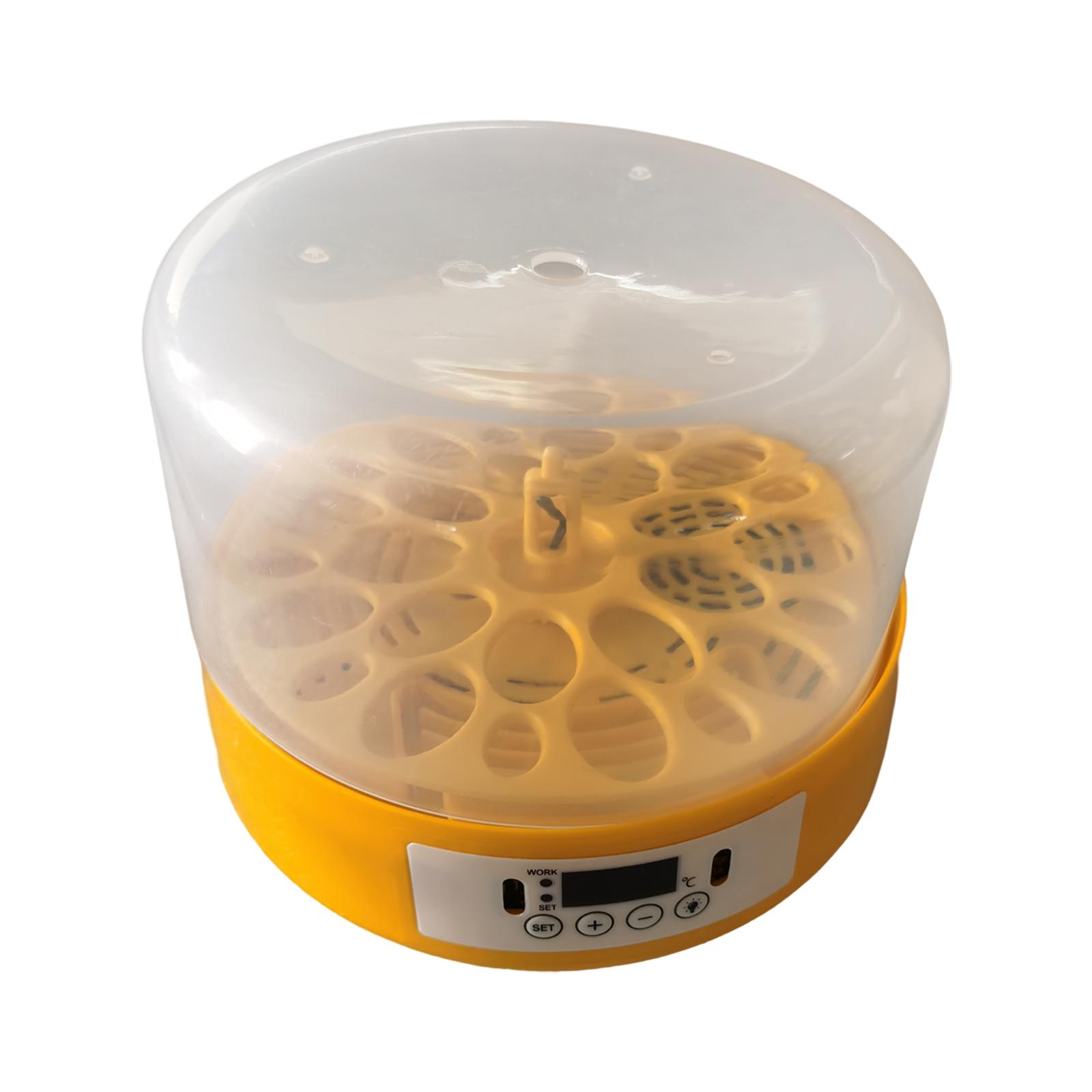Egg Incubator Egg Turner Egg H - огляд і ціна Quail Egg Incubator