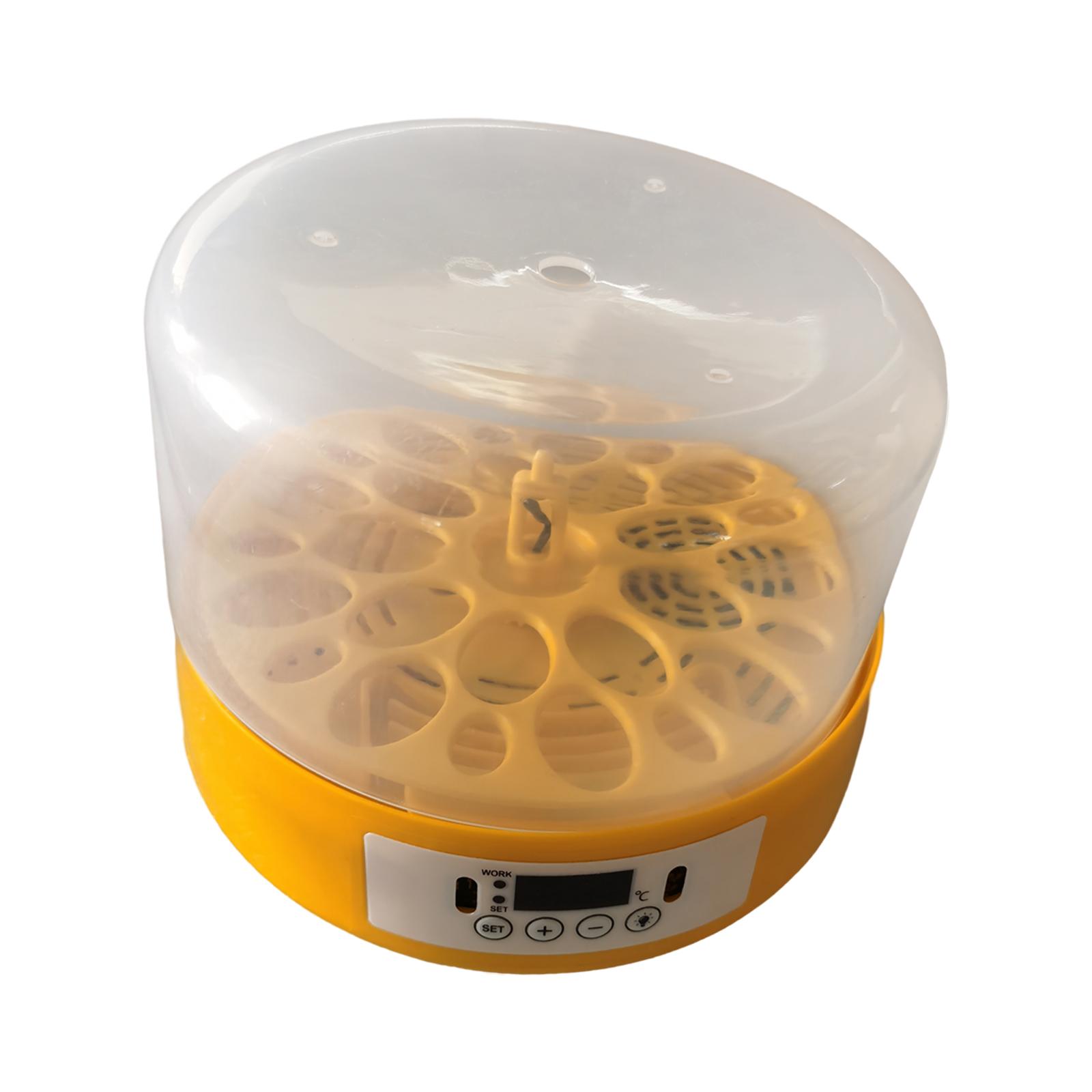 Egg Incubator Egg Turner Egg H - огляд і ціна Quail Egg Incubator