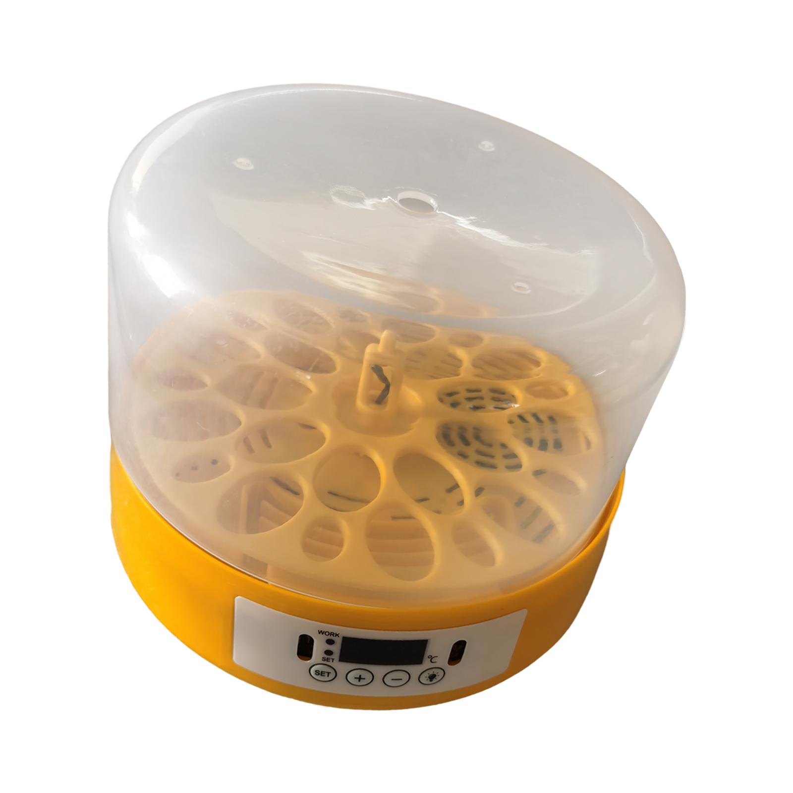 Egg Incubator Egg Turner Egg H - огляд і ціна Quail Egg Incubator