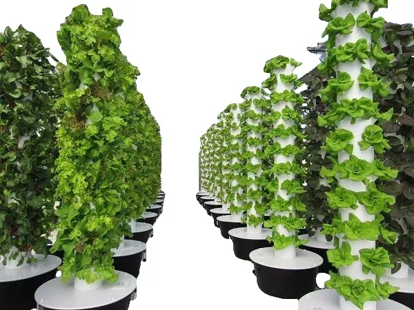 Agricultural greenhouses verti - огляд і ціна Hydroponic Farming Agriculture