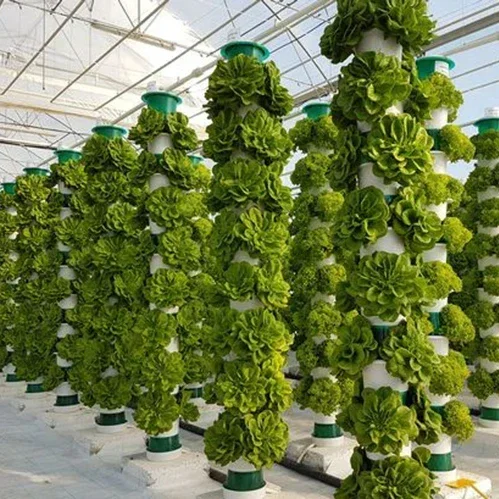 Agricultural greenhouses verti - огляд і ціна Hydroponic Farming Agriculture