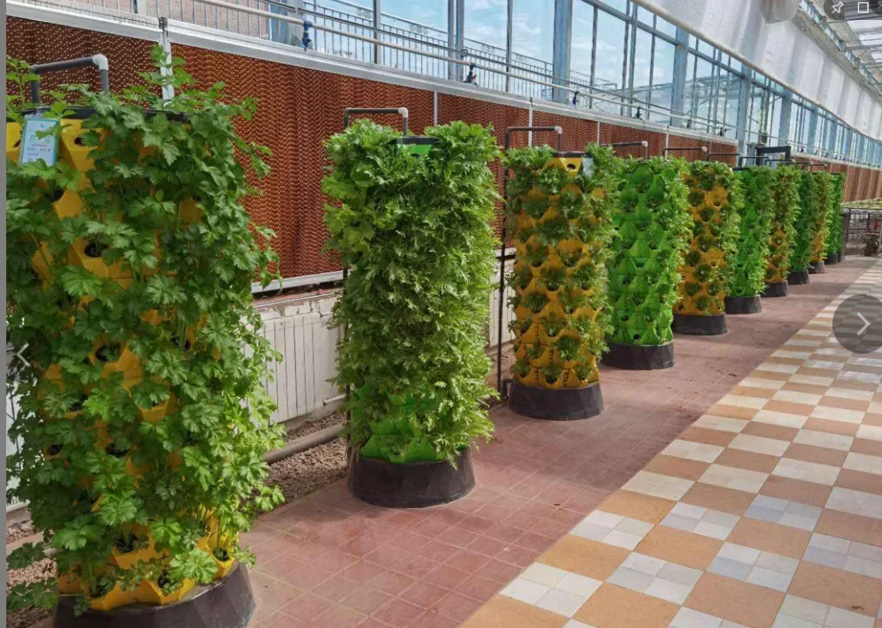 Agricultural greenhouses verti - огляд і ціна Hydroponic Farming Agriculture