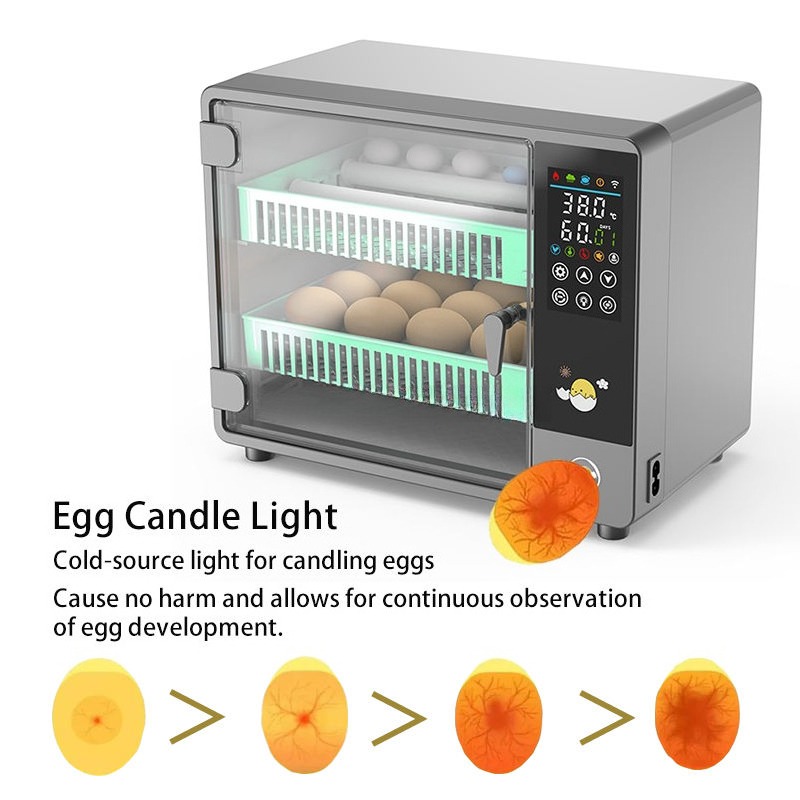 Factory Direct 2026 Fully Auto - огляд і ціна Quail Egg Incubator