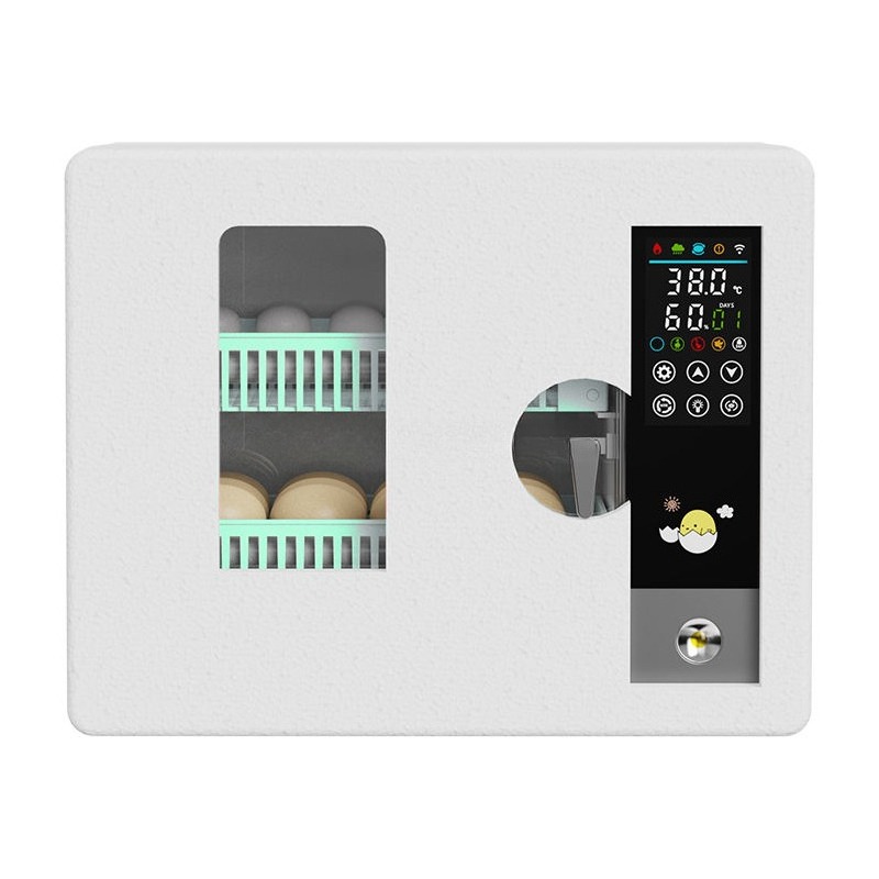 Factory Direct 2026 Fully Auto - огляд і ціна Quail Egg Incubator