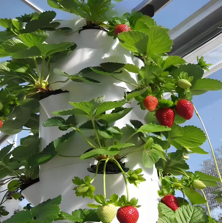 Modular hydroponic growth wall - огляд і ціна Hydroponic Farming Agriculture