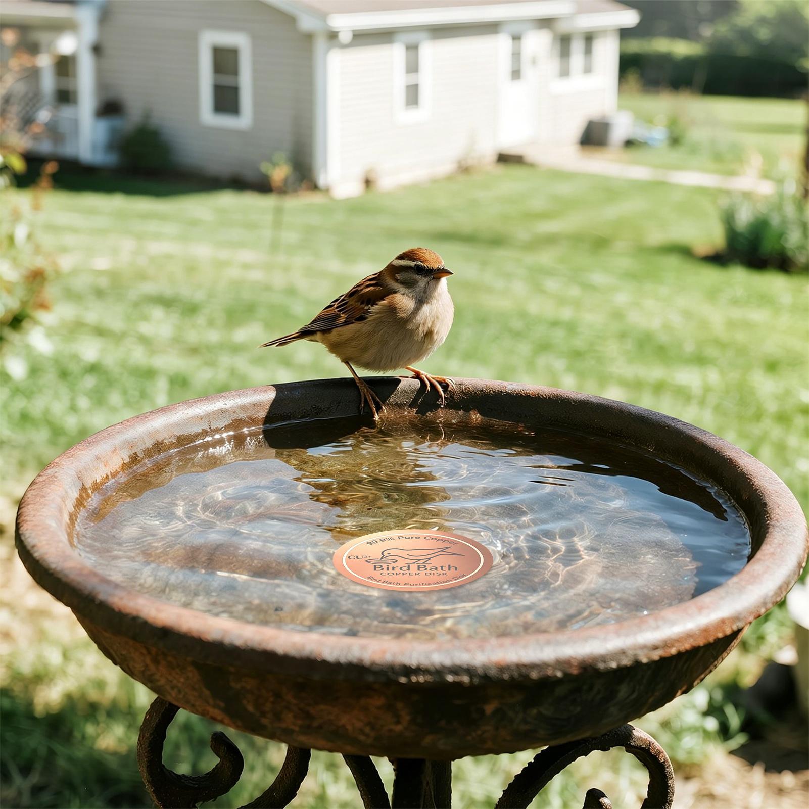 Bird Bath Copper Disk 0.6mm Th - огляд і ціна Farming & Agriculture Word Stacks