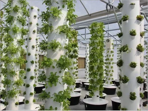 High quality agricultural home - огляд і ціна Hydroponic Farming Agriculture