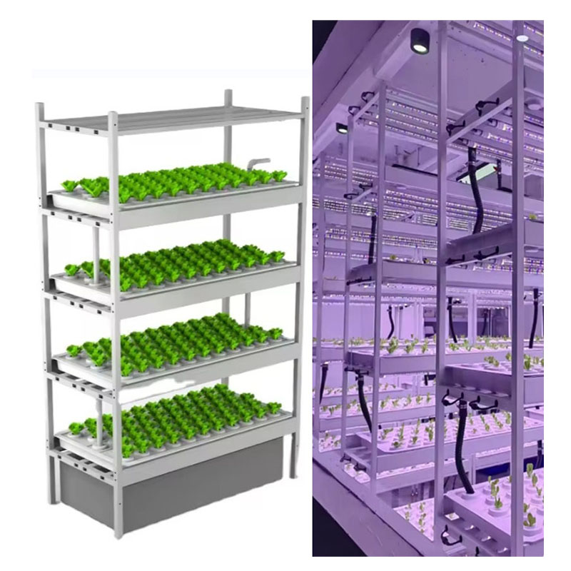 f Greenhouse Agricultural Equi - огляд і ціна Hydroponic Farming Agriculture