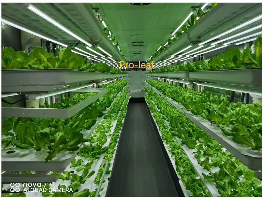 f Greenhouse Agricultural Equi - огляд і ціна Hydroponic Farming Agriculture