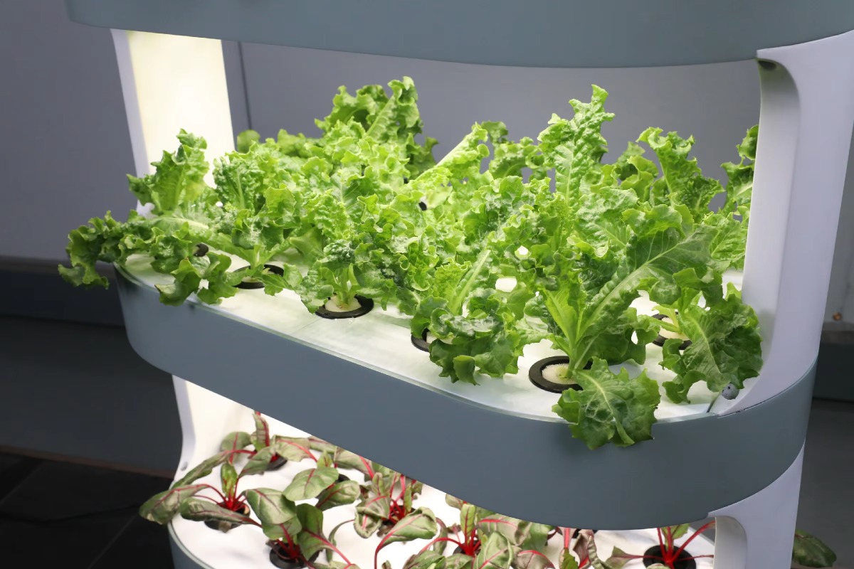 Factory Wholesale Unique Farm  - огляд і ціна Hydroponic Farming Agriculture
