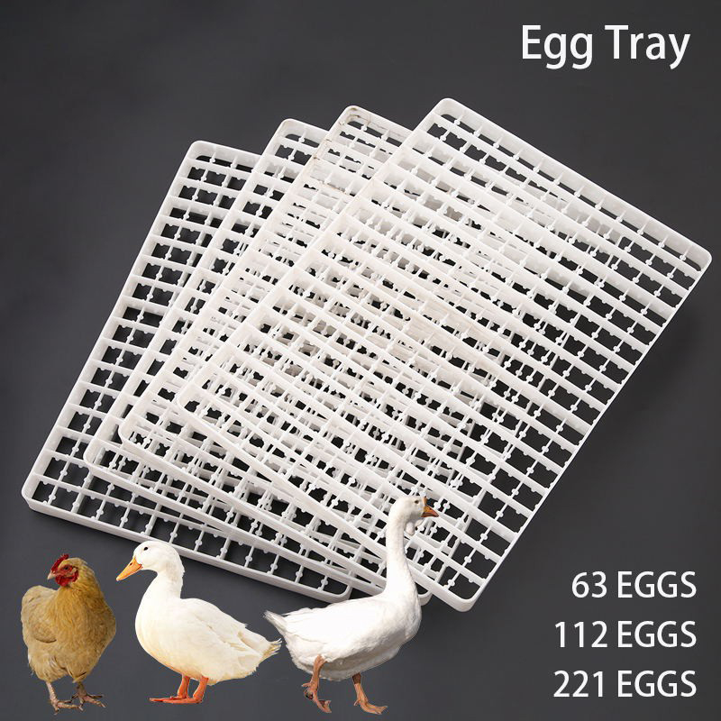 1Pcs Egg Tray For Incubator Au - огляд і ціна Quail Egg Incubator