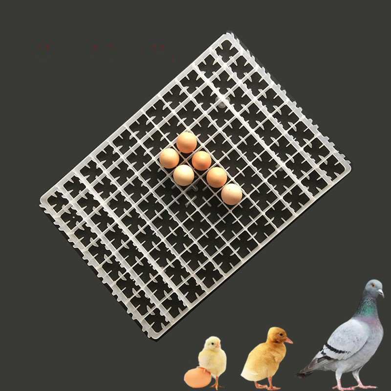 1Pcs Egg Tray For Incubator Au - огляд і ціна Quail Egg Incubator