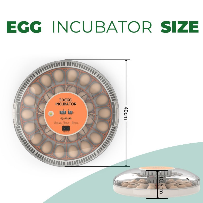 STLF30 Eggs Home Use Incubator - огляд і ціна Quail Egg Incubator