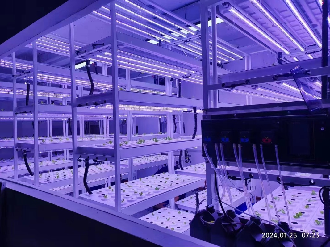 Small Vertical Hydroponic Towe - огляд і ціна Hydroponic Farming Agriculture