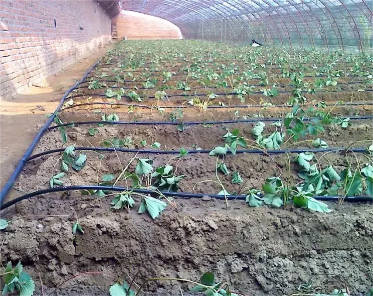1HA Irrigation Kit Agricultura - огляд і ціна Agriculture Farming Hand Tools