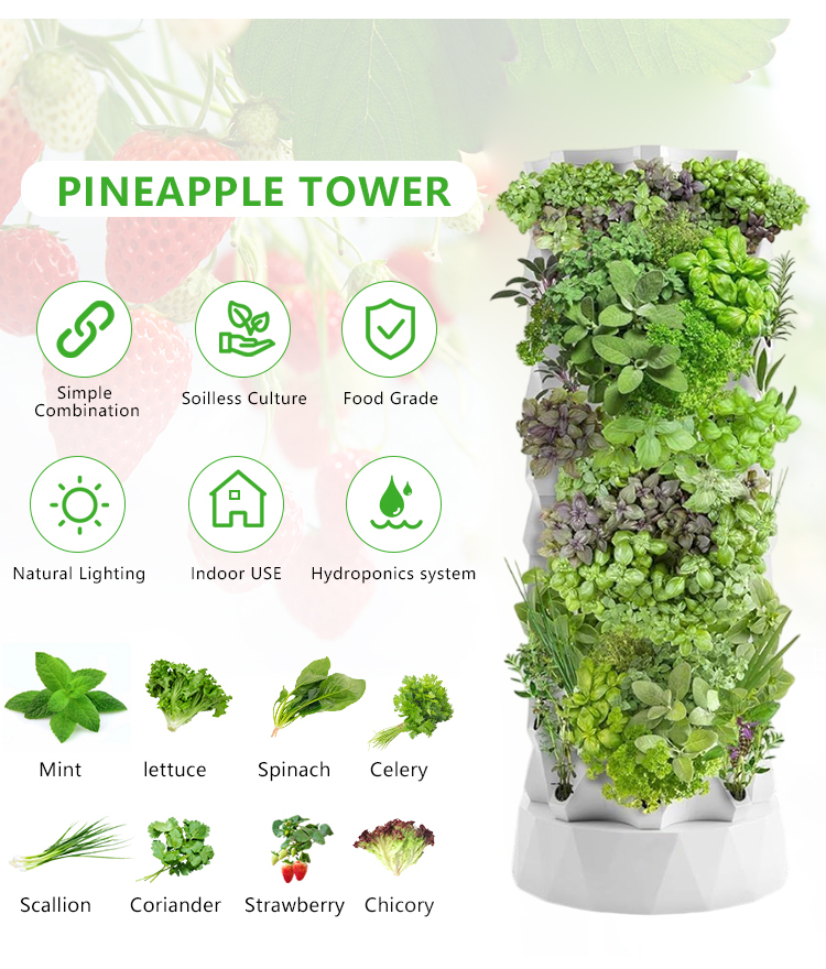 Upgraded Indoor Farming Outdoo - огляд і ціна Hydroponic Farming Agriculture