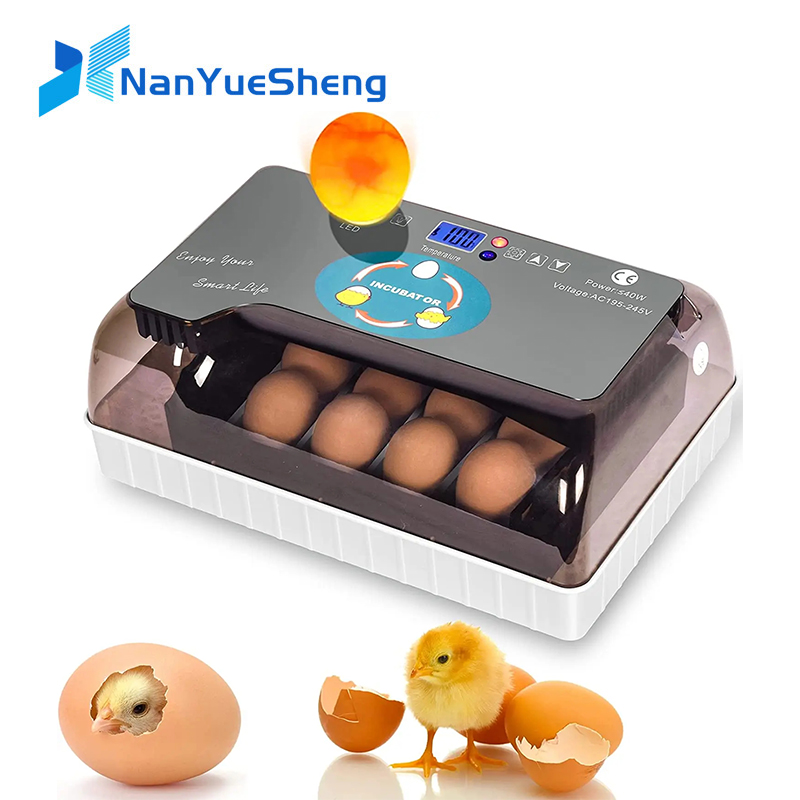 Automatic HHD Best Digital 12  - огляд і ціна Quail Egg Incubator