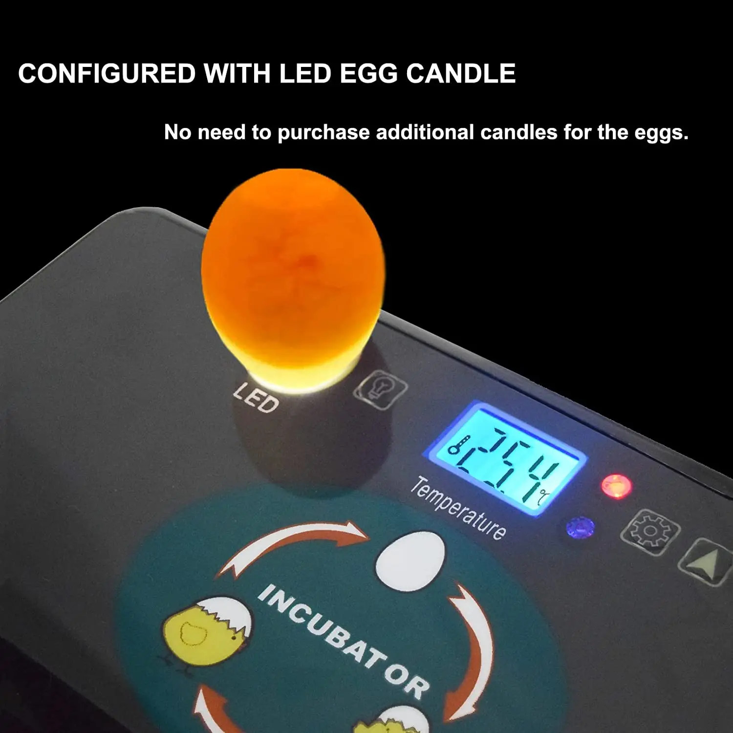 Automatic HHD Best Digital 12  - огляд і ціна Quail Egg Incubator