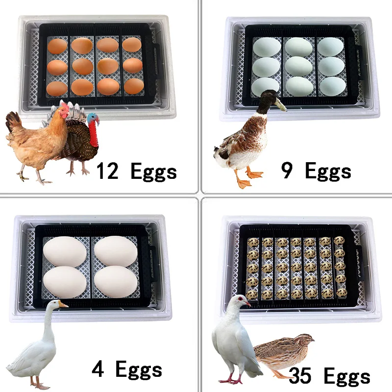 Automatic HHD Best Digital 12  - огляд і ціна Quail Egg Incubator