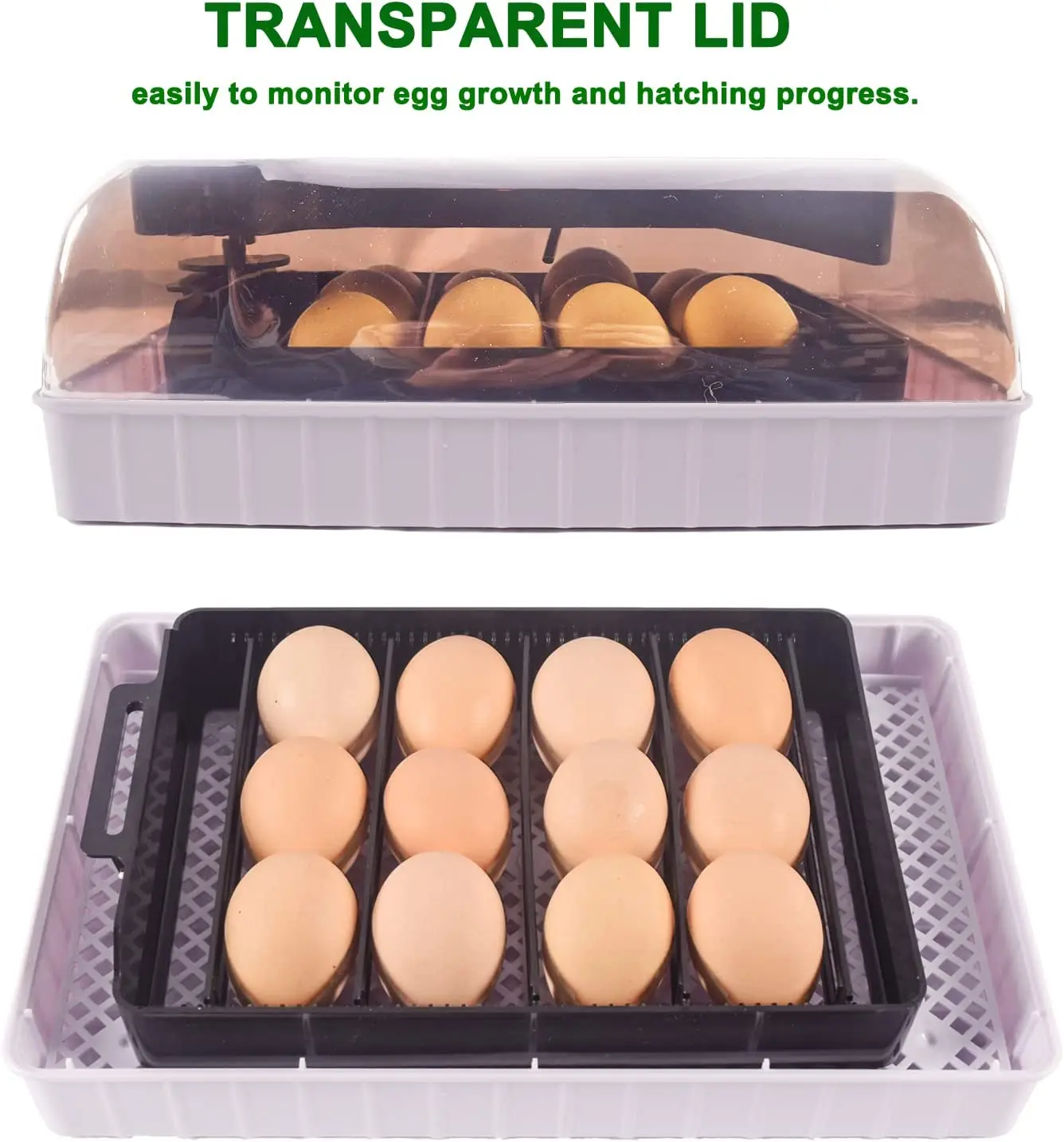 Automatic HHD Best Digital 12  - огляд і ціна Quail Egg Incubator