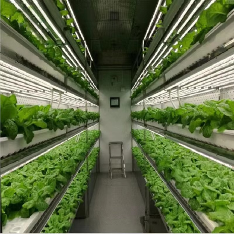 Custom Agricultural Greenhouse - огляд і ціна Hydroponic Farming Agriculture