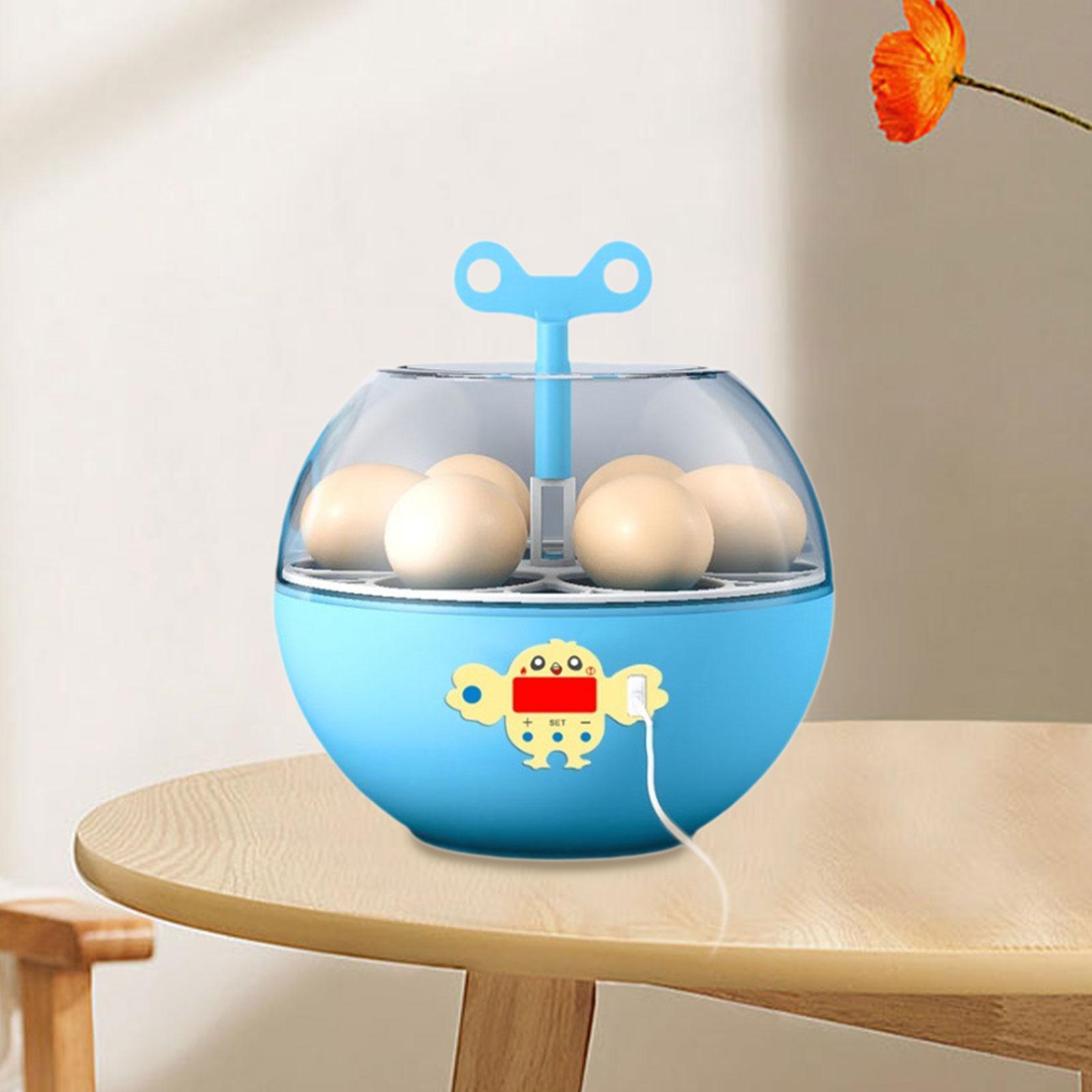 6 Eggs Incubator Mini Visible  - огляд і ціна Quail Egg Incubator