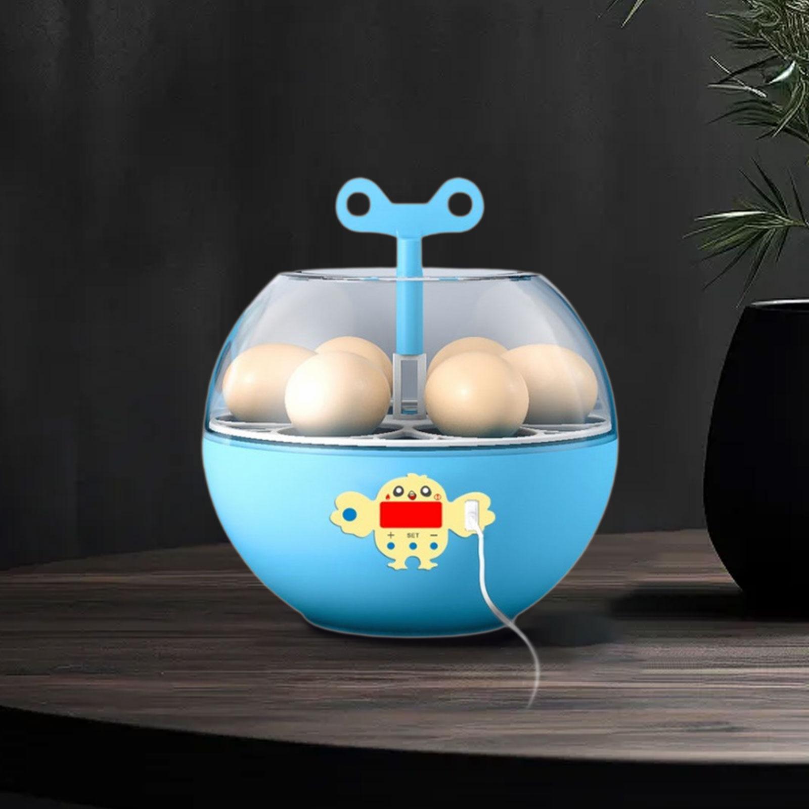 6 Eggs Incubator Mini Visible  - огляд і ціна Quail Egg Incubator