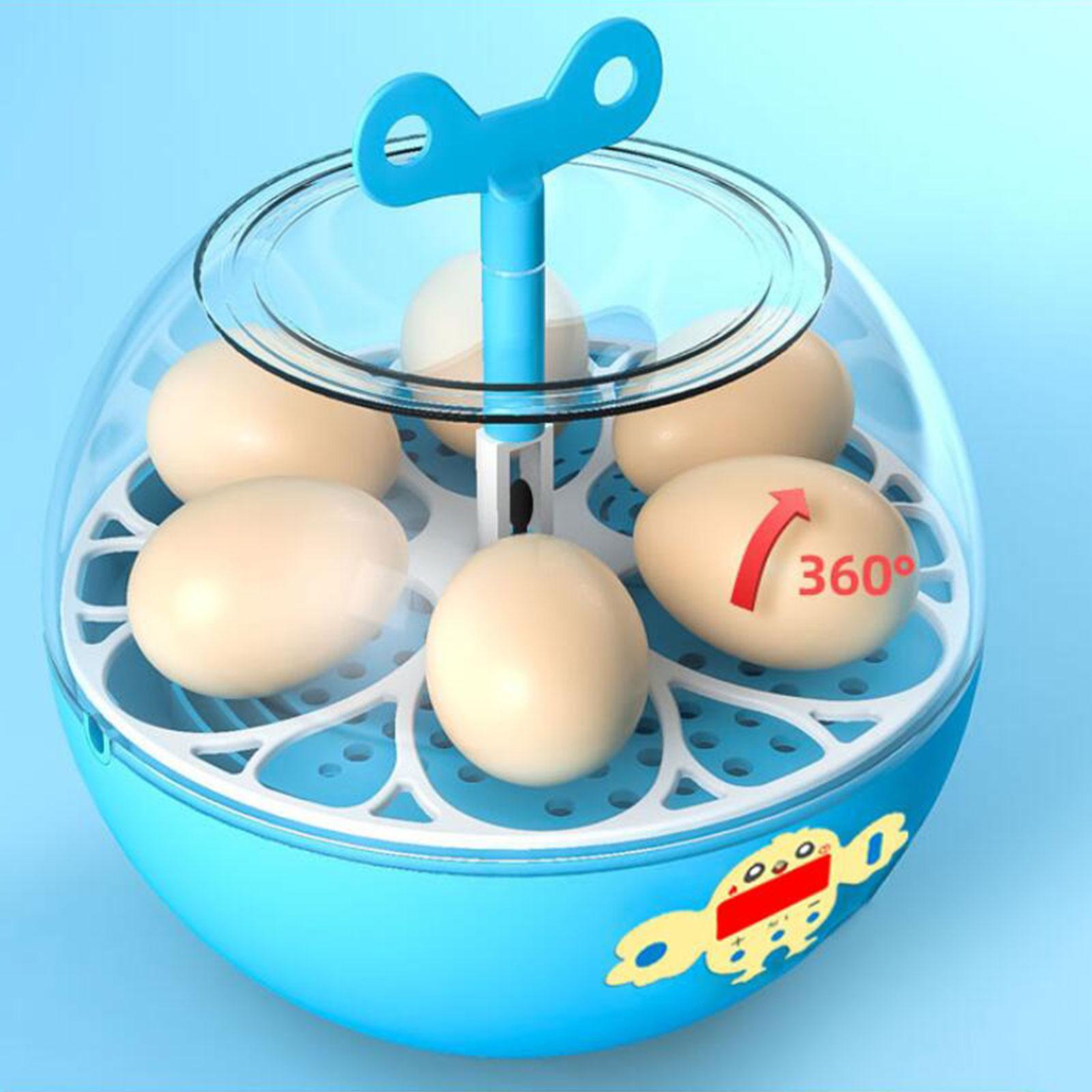 6 Eggs Incubator Mini Visible  - огляд і ціна Quail Egg Incubator