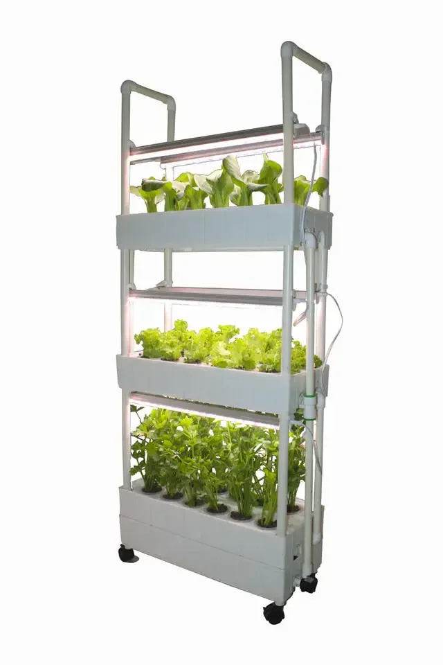 Customization Agriculture hydr - огляд і ціна Hydroponic Farming Agriculture