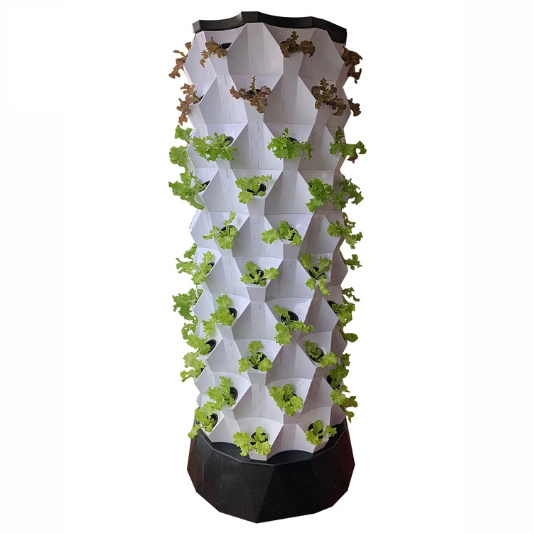 Agricultural Greenhouses Verti - огляд і ціна Hydroponic Farming Agriculture