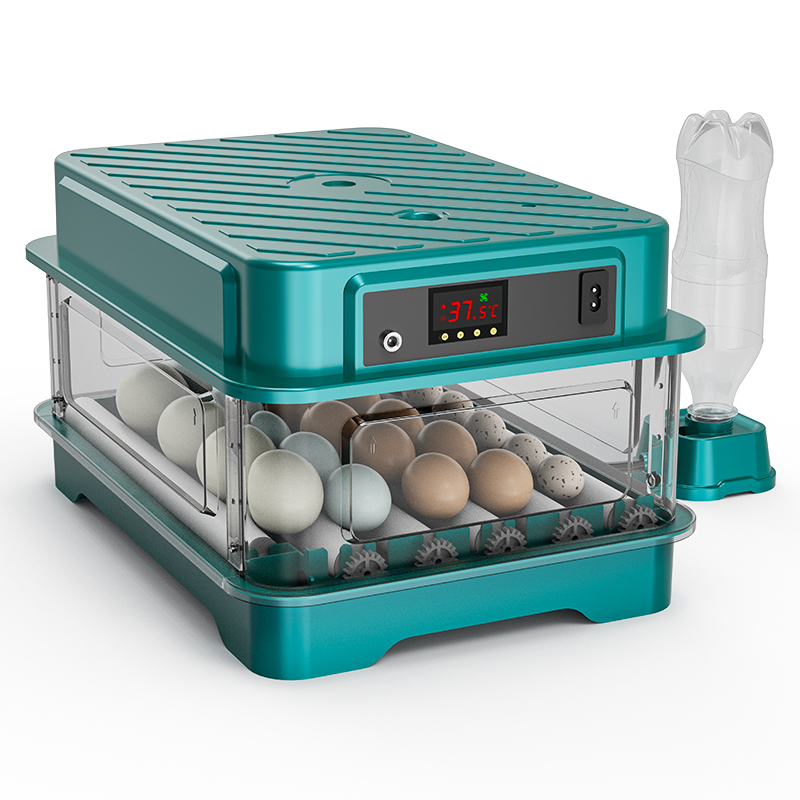 Fully Automatic  Chicken Quail - огляд і ціна Quail Egg Incubator