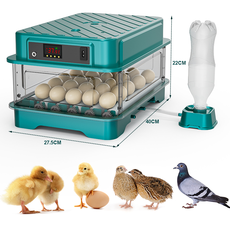 Fully Automatic  Chicken Quail - огляд і ціна Quail Egg Incubator