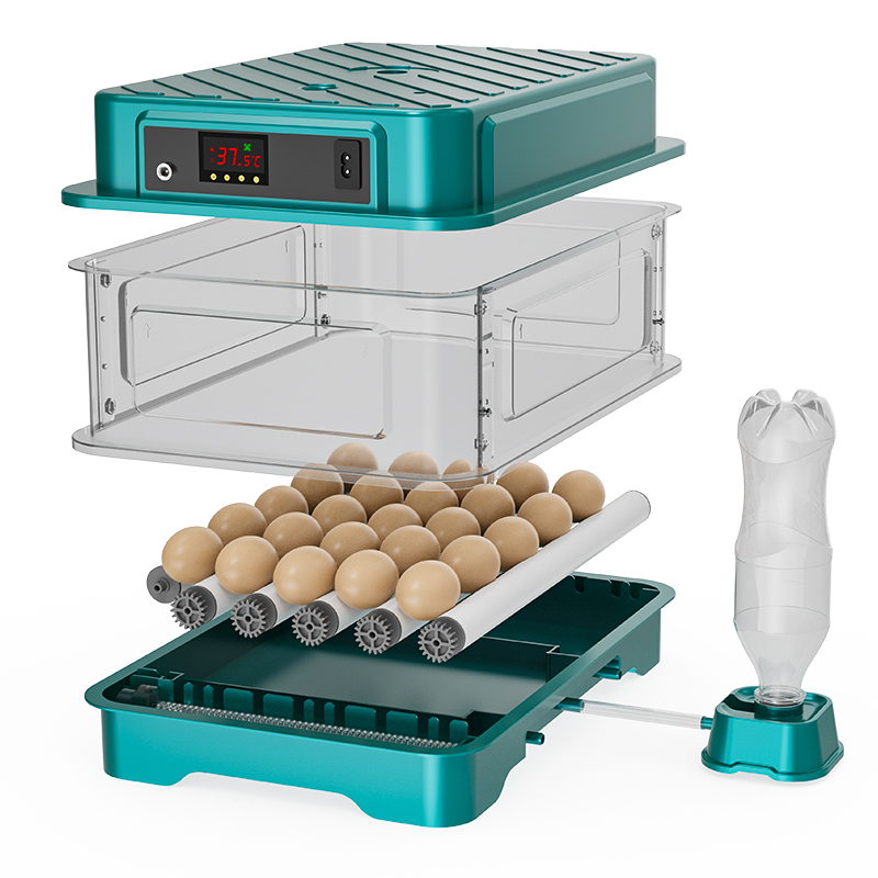 Fully Automatic  Chicken Quail - огляд і ціна Quail Egg Incubator