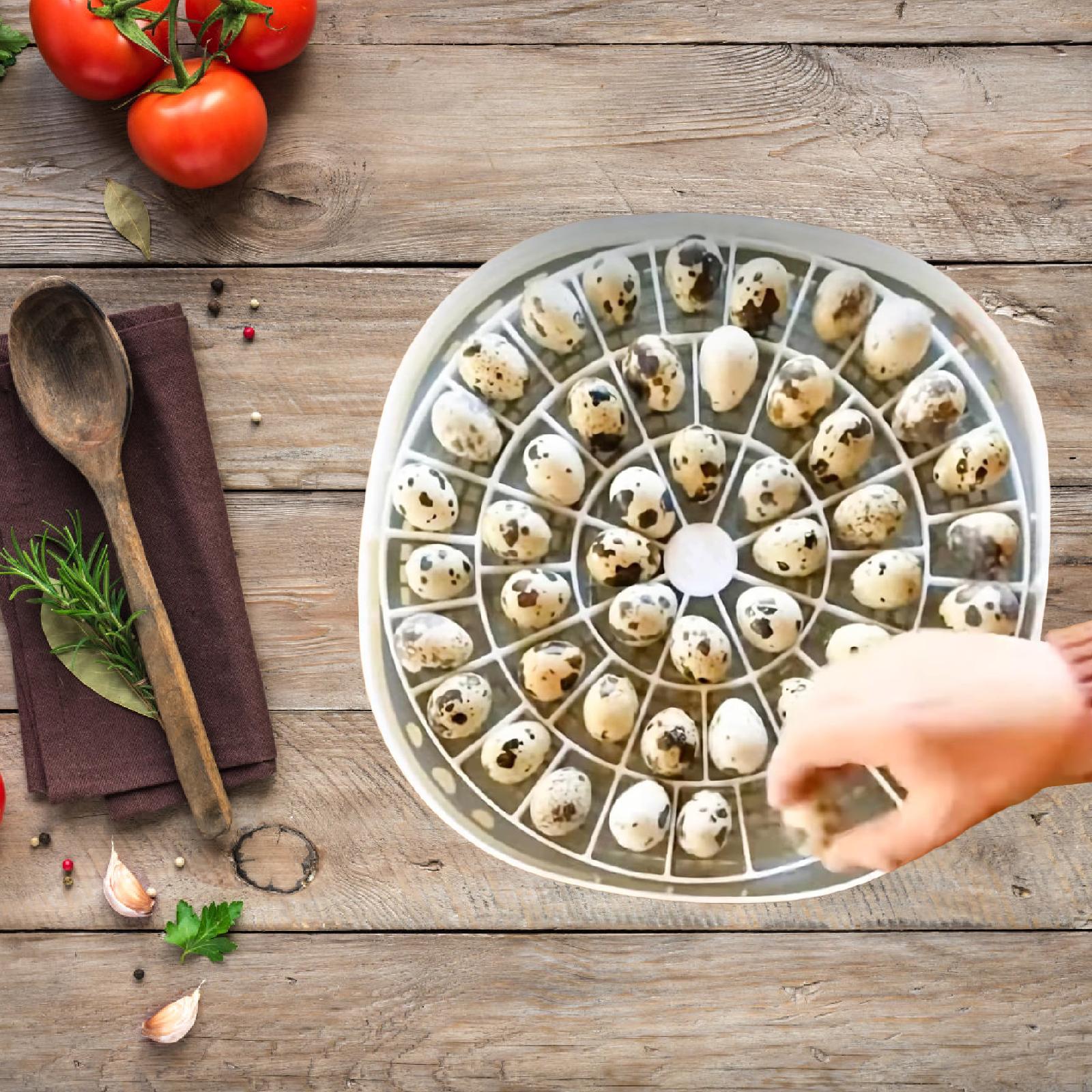 Small Quail Bird Egg Tray 48 C - огляд і ціна Quail Egg Incubator