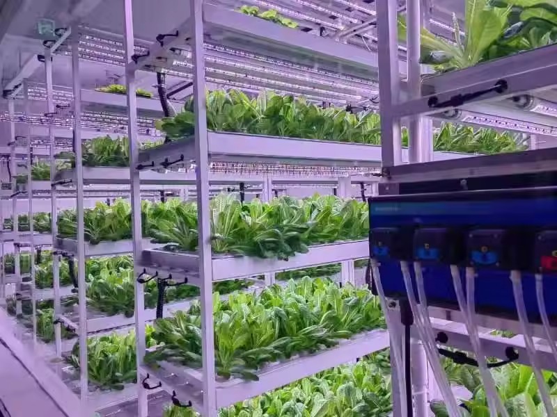 Vertical Farm Hydroponic Tower - огляд і ціна Hydroponic Farming Agriculture