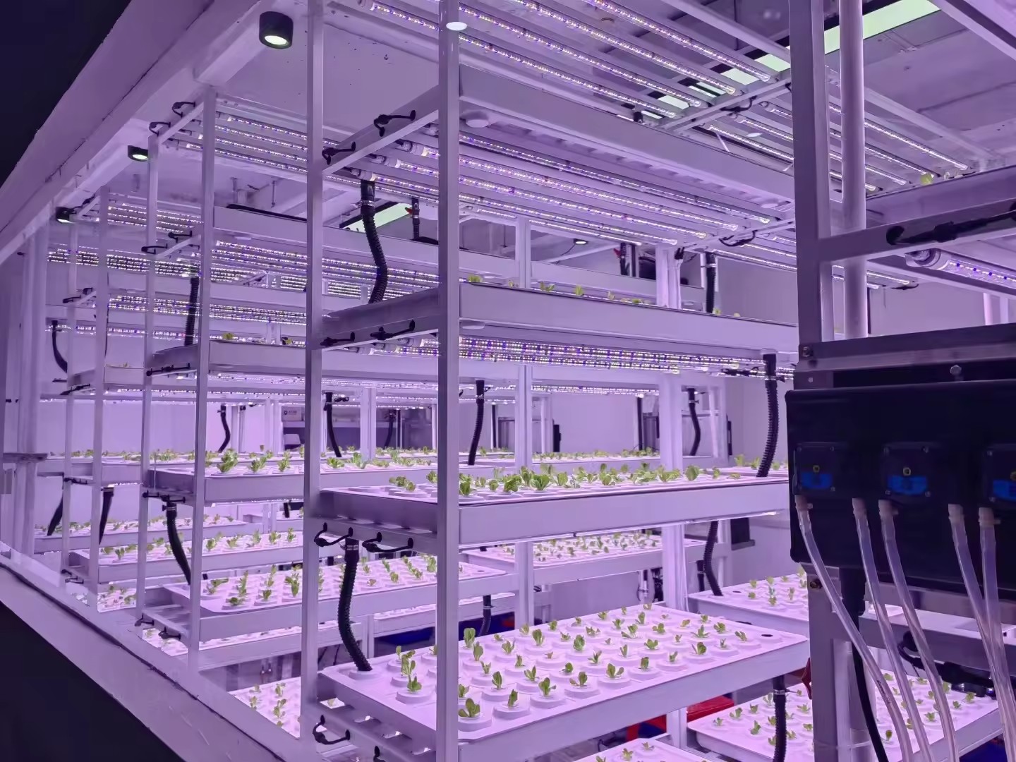 Vertical Farm Hydroponic Tower - огляд і ціна Hydroponic Farming Agriculture