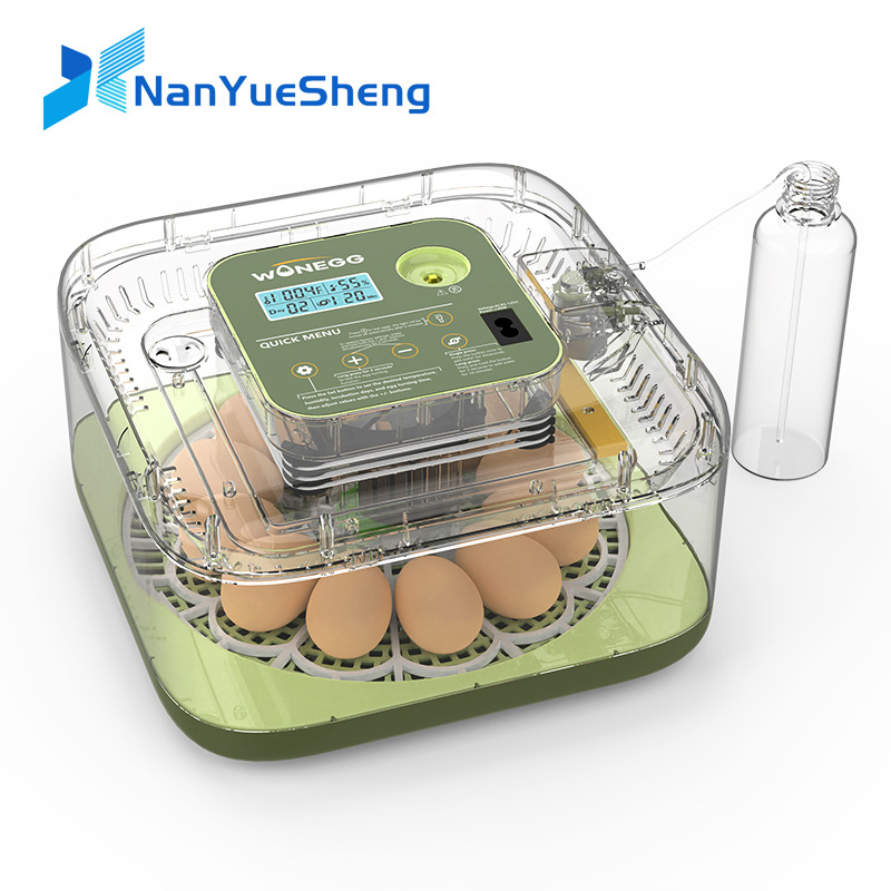 New 12 Chick egg Hatchery mach - огляд і ціна Quail Egg Incubator