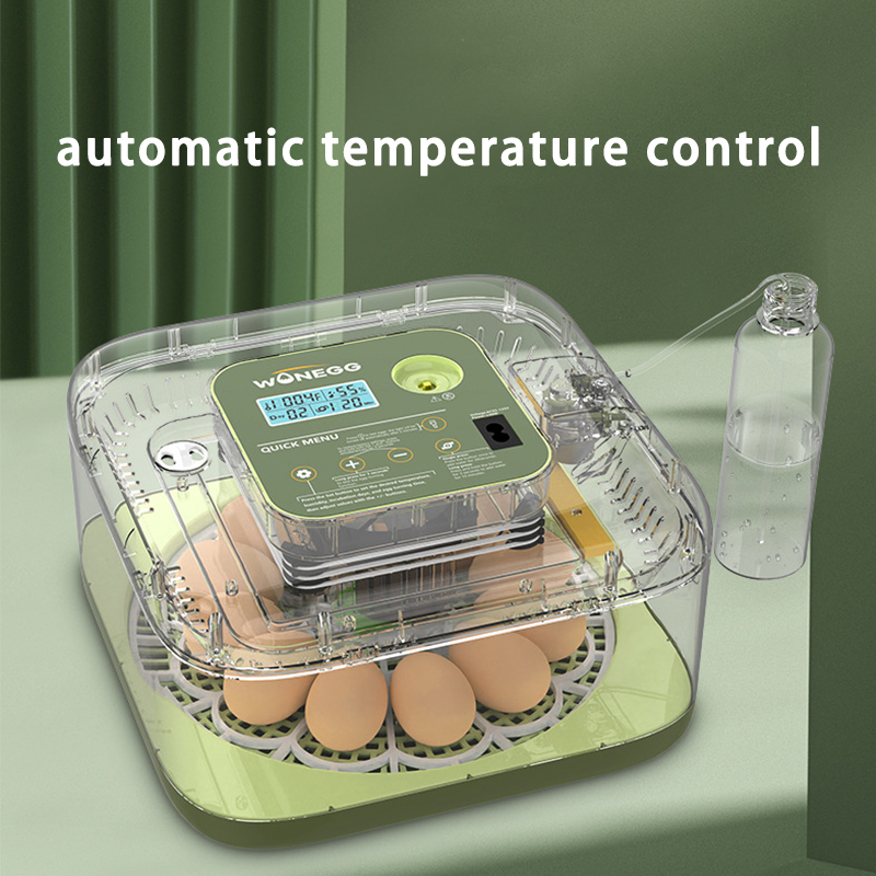 New 12 Chick egg Hatchery mach - огляд і ціна Quail Egg Incubator