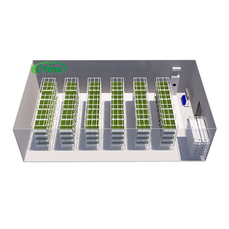Agricultural Greenhouses Lettu - огляд і ціна Hydroponic Farming Agriculture