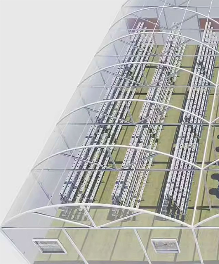 Agricultural Greenhouses Lettu - огляд і ціна Hydroponic Farming Agriculture