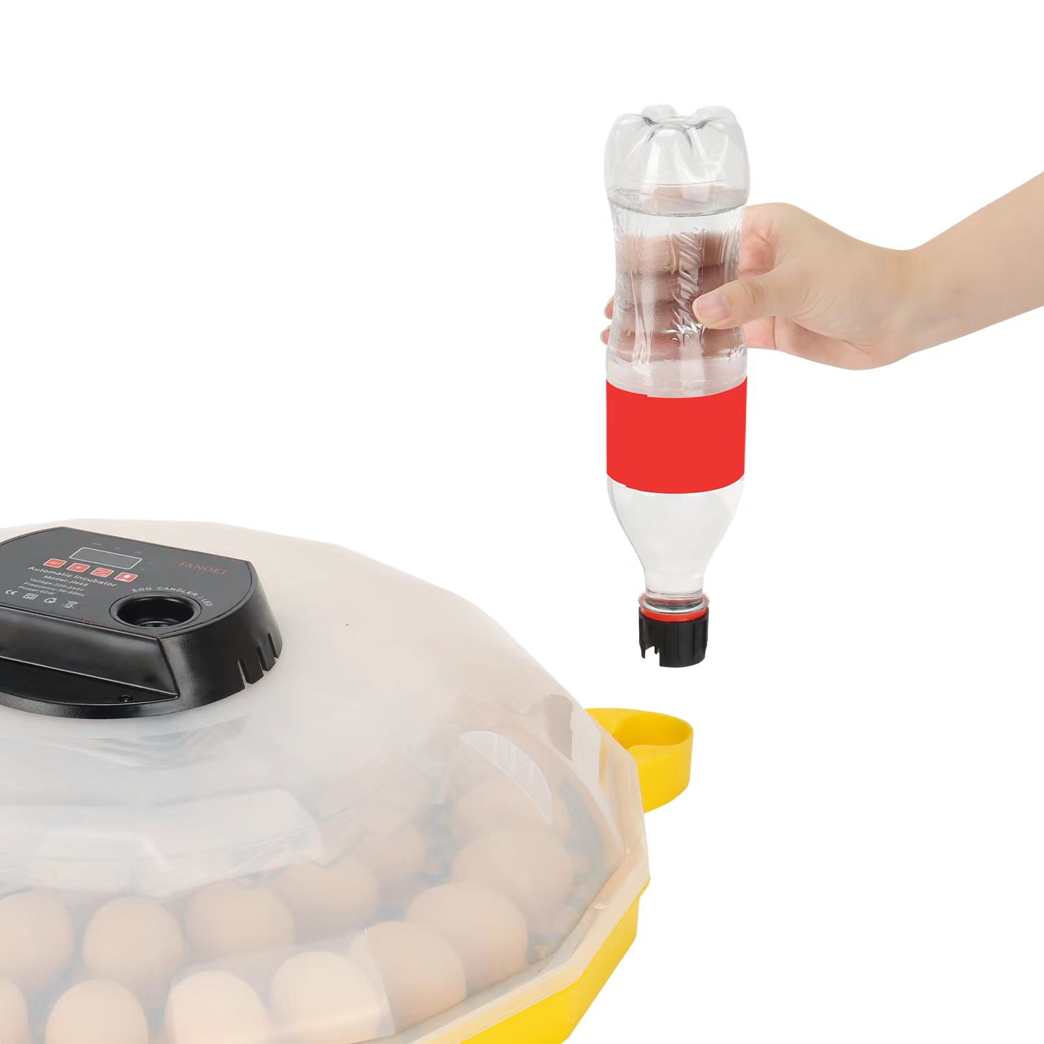 Mini Egg Incubator with 99% Ha - огляд і ціна Quail Egg Incubator