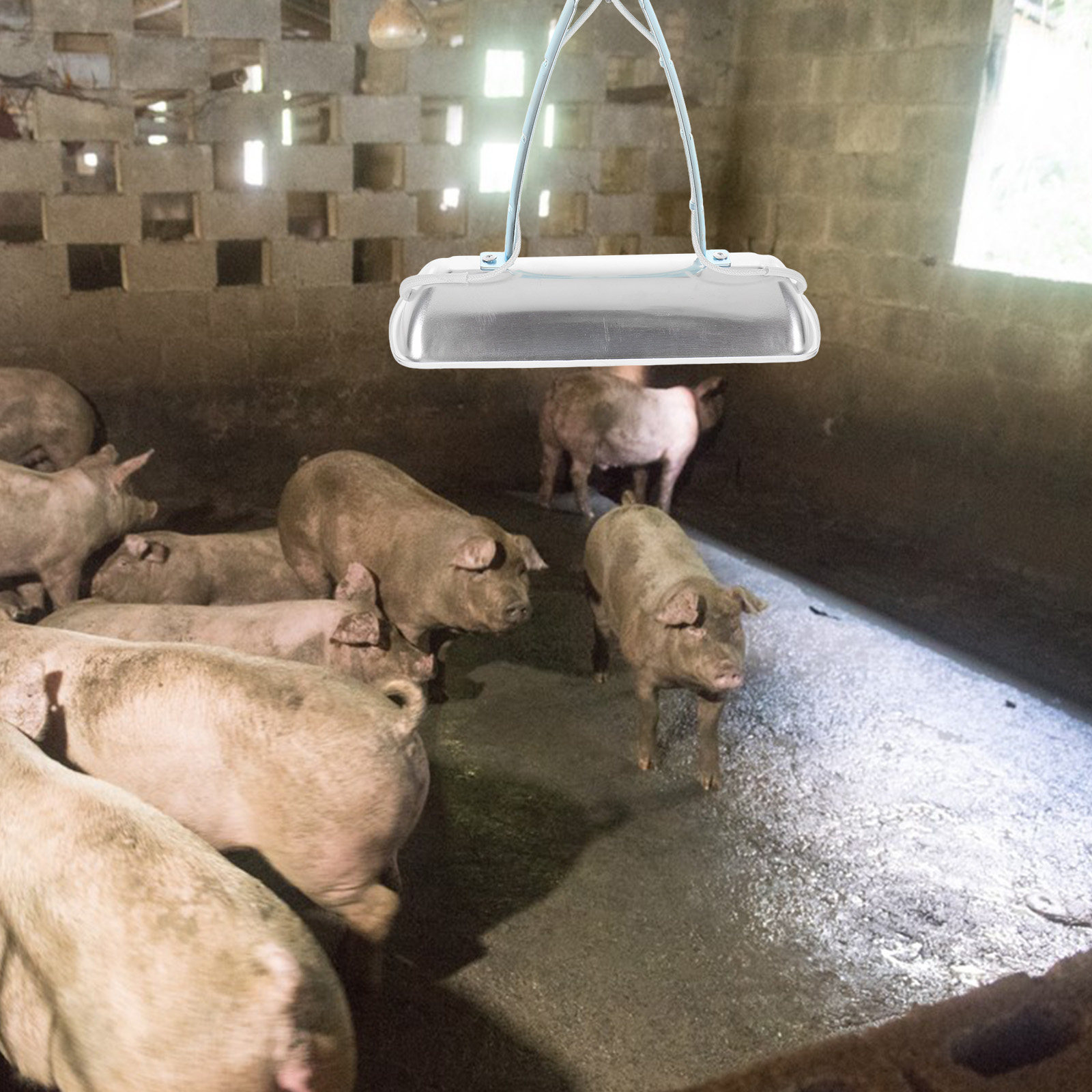 Pig Farm Preservation Lamp Chi - огляд і ціна Farming & Agriculture Word Stacks